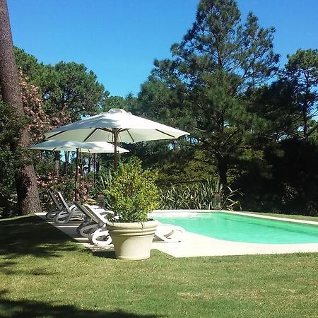 Josephine Boutique Hotel Punta del Este Exteriör bild
